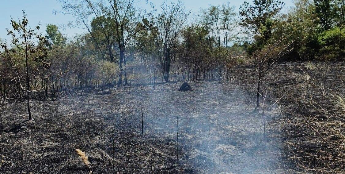 Incendiu la Țipari: 3.500 de metri pătrați de vegetație uscată au ars, iar flăcările au ajuns la o anexă