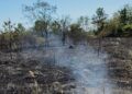 Incendiu la Țipari: 3.500 de metri pătrați de vegetație uscată au ars, iar flăcările au ajuns la o anexă