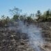 Incendiu la Țipari: 3.500 de metri pătrați de vegetație uscată au ars, iar flăcările au ajuns la o anexă