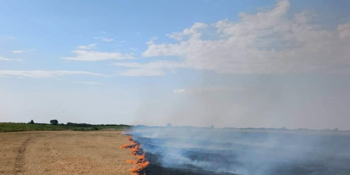Zi de foc în Timiș. Peste 90 de intervenții pentru ISU în doar 24 de ore