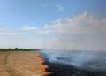 Zi de foc în Timiș. Peste 90 de intervenții pentru ISU în doar 24 de ore