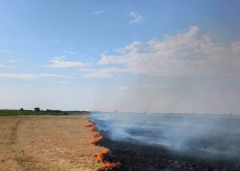Zi de foc în Timiș. Peste 90 de intervenții pentru ISU în doar 24 de ore