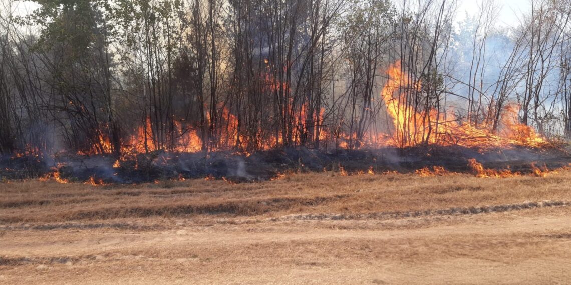 Trei incendii de vegetație, într-o singură zi, în zona Făgetului. Flăcările s-au apropiat de gospodării
