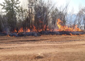 Trei incendii de vegetație, într-o singură zi, în zona Făgetului. Flăcările s-au apropiat de gospodării