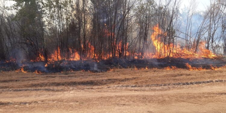 Trei incendii de vegetație, într-o singură zi, în zona Făgetului. Flăcările s-au apropiat de gospodării