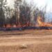 Trei incendii de vegetație, într-o singură zi, în zona Făgetului. Flăcările s-au apropiat de gospodării