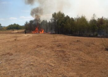 Trei incendii de vegetație, într-o singură zi, în zona Făgetului. Flăcările s-au apropiat de gospodării
