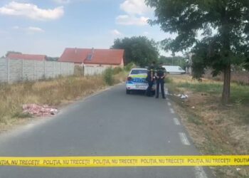 Un timișean cu ordin de protecție și-a atacat fosta soție, apoi a fost înjunghiat de fiică