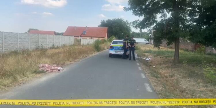 Un timișean cu ordin de protecție și-a atacat fosta soție, apoi a fost înjunghiat de fiică