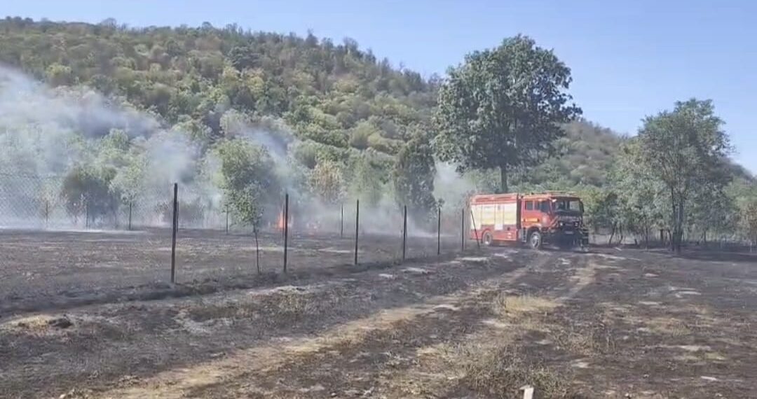 Incendiu puternic la Sebiș: două hectare de vegetație uscată, cuprinse de flăcări
