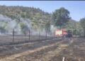 Incendiu puternic la Sebiș: două hectare de vegetație uscată, cuprinse de flăcări