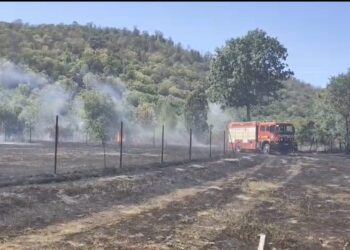 Incendiu puternic la Sebiș: două hectare de vegetație uscată, cuprinse de flăcări