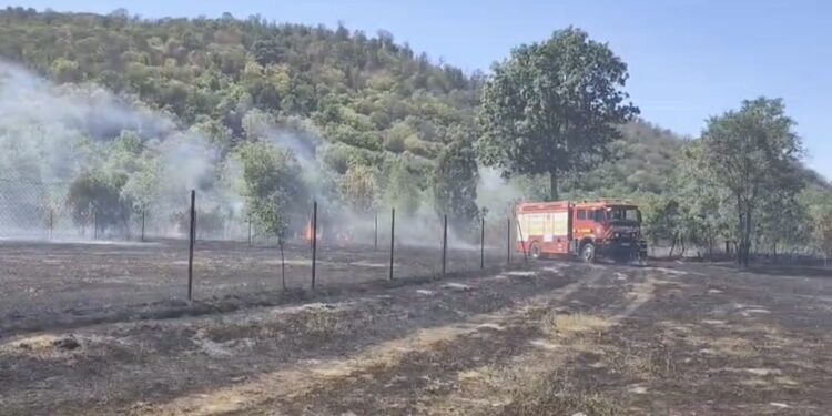 Incendiu puternic la Sebiș: două hectare de vegetație uscată, cuprinse de flăcări