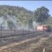 Incendiu puternic la Sebiș: două hectare de vegetație uscată, cuprinse de flăcări
