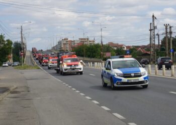 Pompierii timișeni intervin în sprijinul autorităților din Serbia/Foto