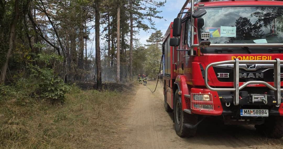 Pompierii români, alături de Serbia, pentru protejarea comunităților afectate de incendii/Foto