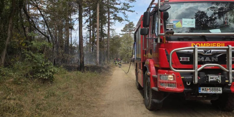 Pompierii români, alături de Serbia, pentru protejarea comunităților afectate de incendii/Foto