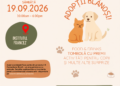Colectivul Blană lansează „O Comunitate Blană – Oraș prietenos cu animalele”