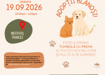 Colectivul Blană lansează „O Comunitate Blană – Oraș prietenos cu animalele”