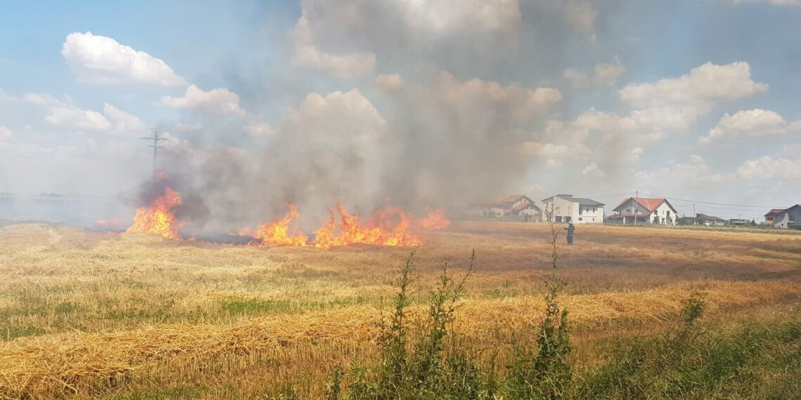 23 de incendii de vegetație uscată în ultimele 48 de ore, în Timiș
