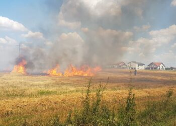 23 de incendii de vegetație uscată în ultimele 48 de ore, în Timiș