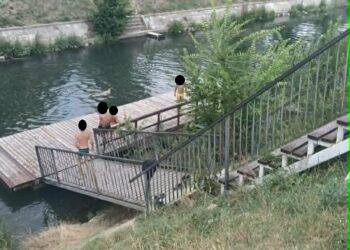 Consumul de alcool, deșeuri aruncate în apă, scăldatul și parcările neregulamentare – principalele probleme constatate pe malurile Begăi – 560 de sancțiuni aplicate de polițiștii locali