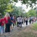 Timișoara Free Tours invită timișorenii la „Turul Parcurilor – partea a III-a”