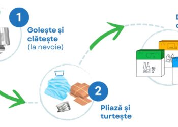 Colectarea separată corectă începe cu recipientul potrivit