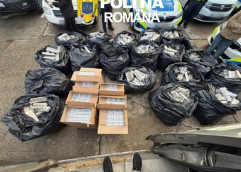 Aproape 500.000 de țigarete fără timbru fiscal, descoperite într-o autoutilitară pe DN 6. Un tânăr de 21 de ani a fost reținut/Video