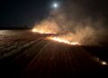5 incendii de vegetație uscată, într-o singură după-amiază