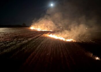 5 incendii de vegetație uscată, într-o singură după-amiază