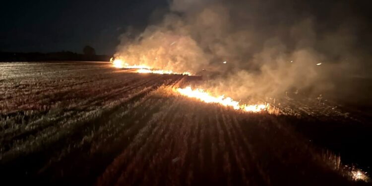 5 incendii de vegetație uscată, într-o singură după-amiază