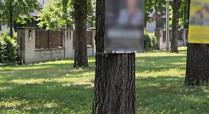 Arbori găuriți pentru reclame și spații verzi transformate în parcări. Amenzi de până la 5.000 de lei în Timișoara