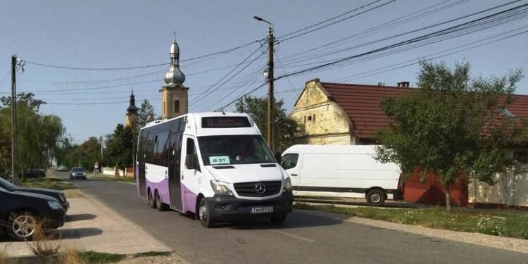 Cele 15 linii de transport școlar revin odată cu începerea cursurilor în noul an