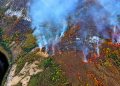 Aproximativ 160 de persoane au intervenit ieri pentru stingerea incendiilor din Domogled – Valea Cernei