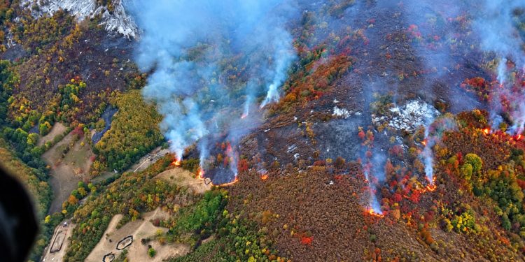 Aproximativ 160 de persoane au intervenit ieri pentru stingerea incendiilor din Domogled – Valea Cernei