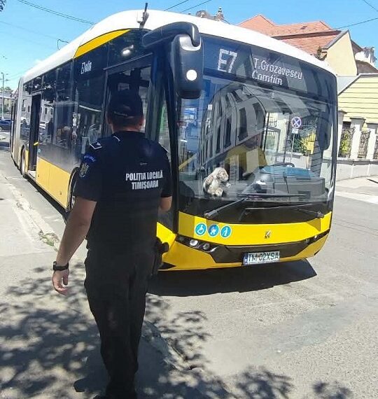 Acțiuni ale polițiștilor locali pentru un transport public sigur și civilizat – sancțiuni aplicate, dar și persoane ajutate să-și recupereze bunurile