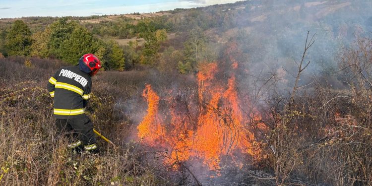 Peste 50 de hectare de teren afectate de incendiile de vegetație uscată, în ultimele 24 de ore