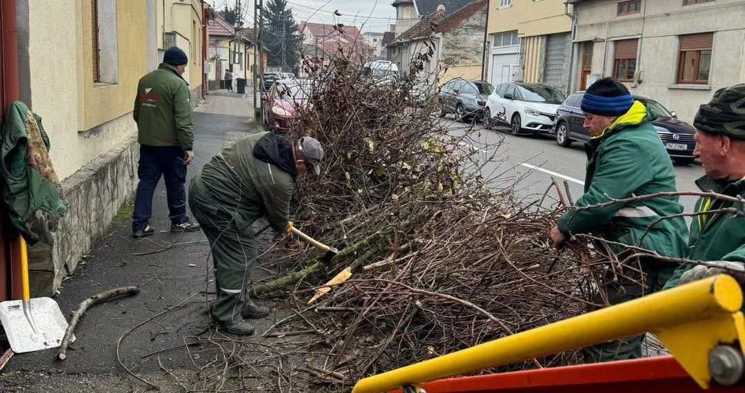 Începe Curățenia de toamnă la Lugoj!