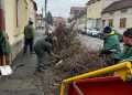 Începe Curățenia de toamnă la Lugoj!