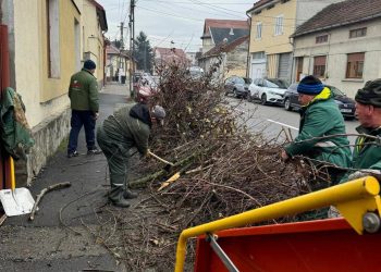 Începe Curățenia de toamnă la Lugoj!