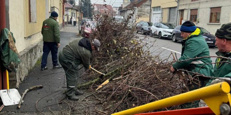 Începe Curățenia de toamnă la Lugoj!