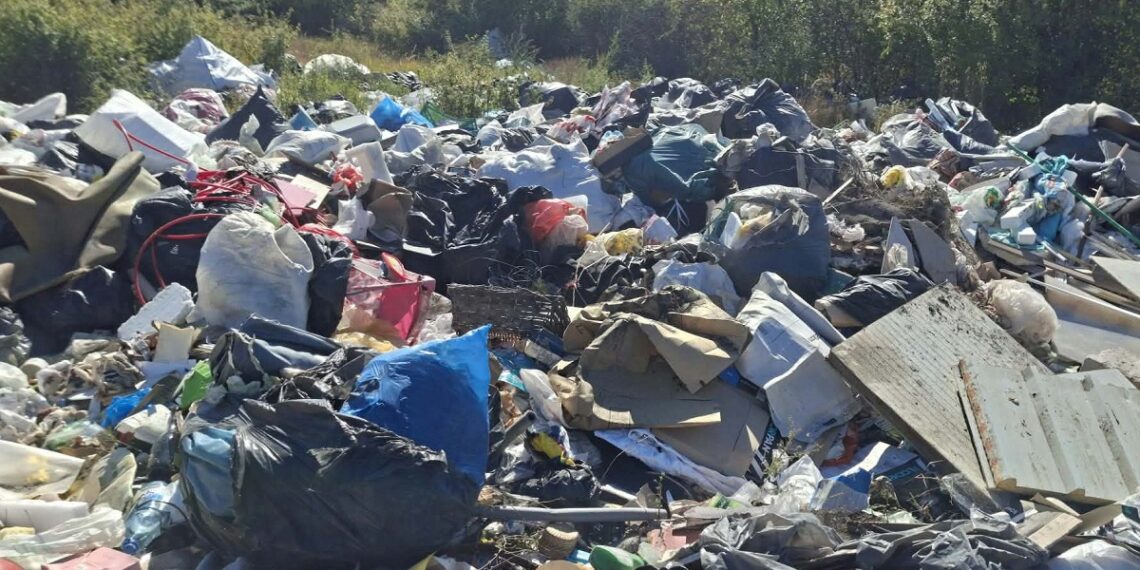 Timișoara: Sancțiuni drastice aplicate de polițiștii locali celor care abandonează deșeuri/Foto