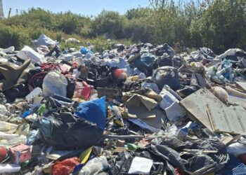 Timișoara: Sancțiuni drastice aplicate de polițiștii locali celor care abandonează deșeuri/Foto