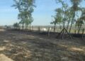 Șapte incendii de vegetație într-o singură zi în Timiș. Peste 44 de hectare au fost mistuite de flăcări