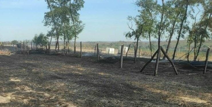 Șapte incendii de vegetație într-o singură zi în Timiș. Peste 44 de hectare au fost mistuite de flăcări