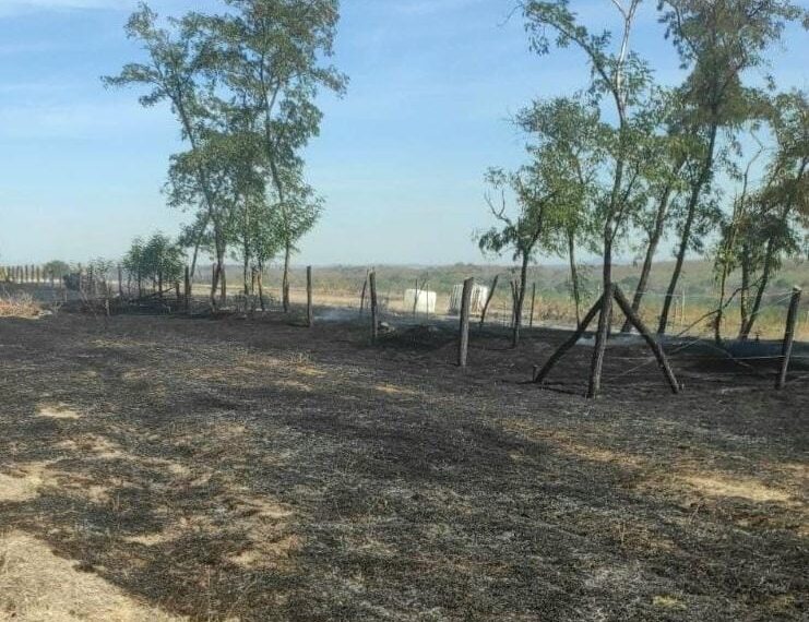 Șapte incendii de vegetație într-o singură zi în Timiș. Peste 44 de hectare au fost mistuite de flăcări