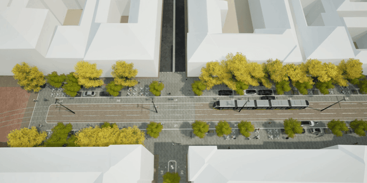 Zona Proclamația de la Timișoara se transformă: piatră naturală în loc de asfalt, mai mult spațiu pentru pietoni și aproape 100 de arbori noi