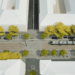 Zona Proclamația de la Timișoara se transformă: piatră naturală în loc de asfalt, mai mult spațiu pentru pietoni și aproape 100 de arbori noi